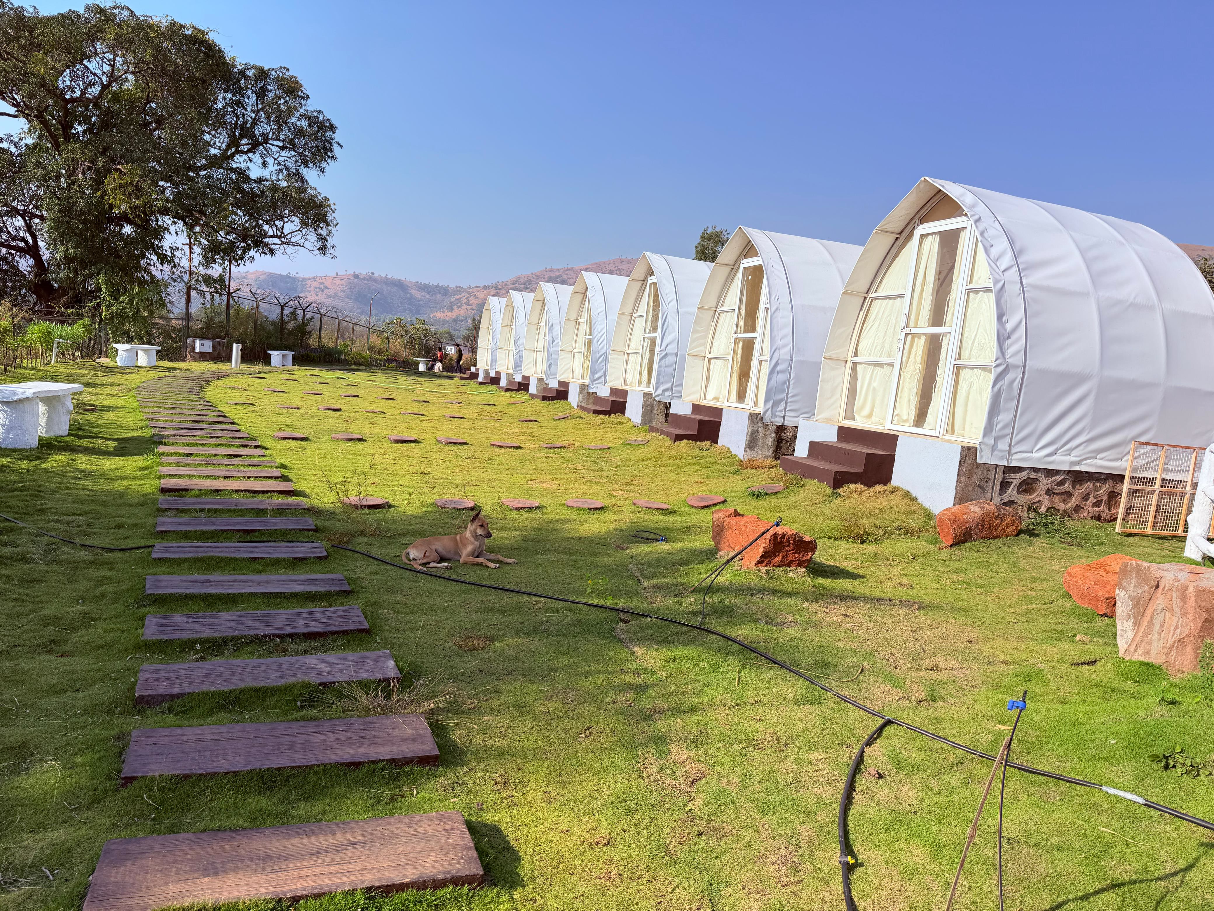 Forest camping stay near Bhor